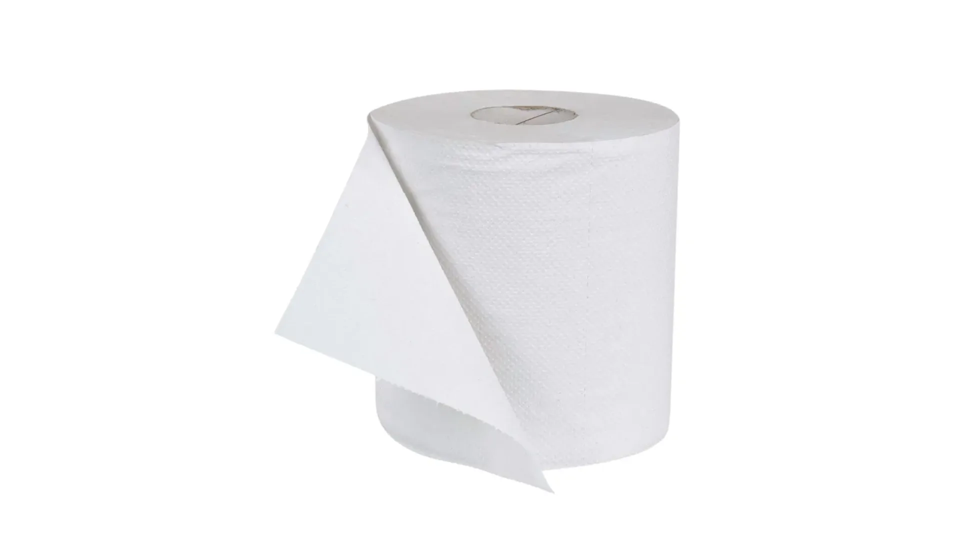 Bobine essuyage 20x30 2plis 1000 feuilles